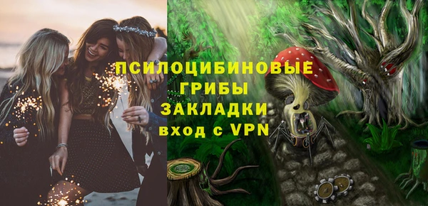 соль ск Арсеньев