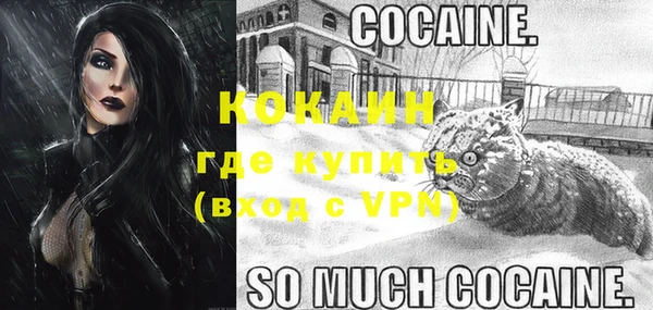 соль ск Арсеньев