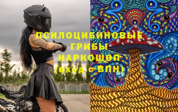 мет Аркадак