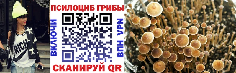 Галлюциногенные грибы Magic Shrooms  где найти наркотики  Усолье-Сибирское 